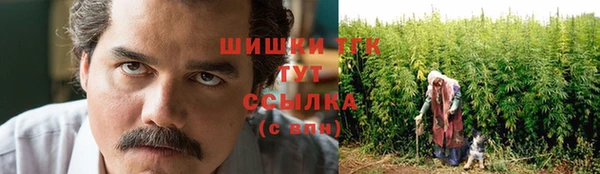 сатива Каменногорск