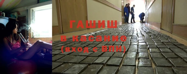 сатива Каменногорск