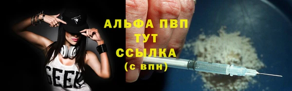 сатива Каменногорск