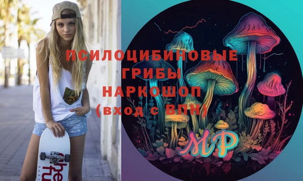 меф Каменск-Шахтинский
