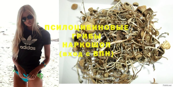 сатива Каменногорск