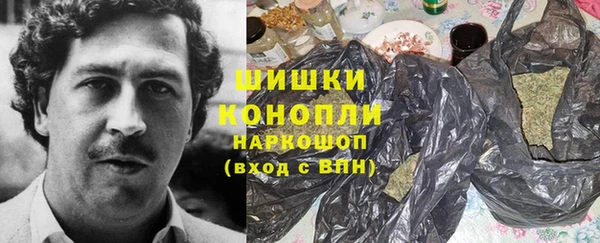 сатива Каменногорск