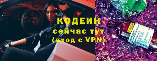 сатива Каменногорск