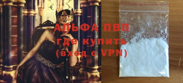 сатива Каменногорск