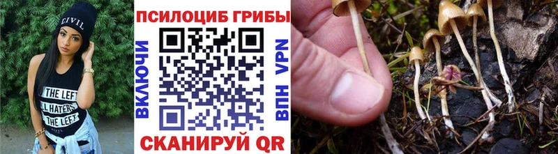Купить закладки  Белозерск  Галлюциногенные грибы Magic Shrooms 